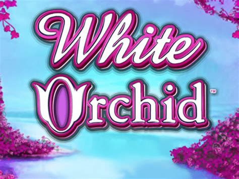 white orchid casino game|casino games roulette.